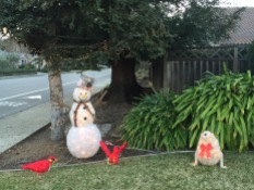 Snowman and cardinals in CA