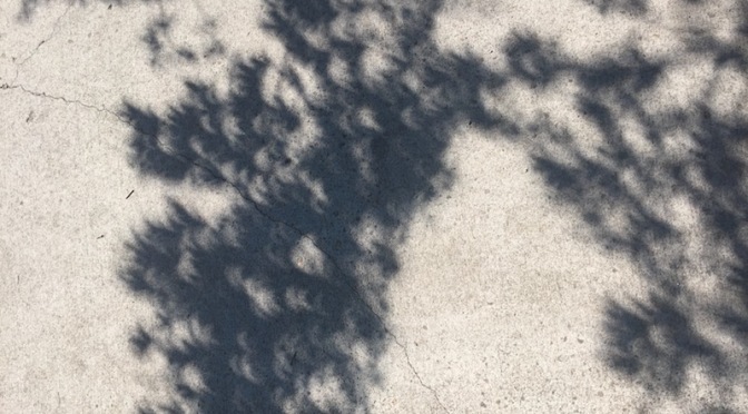 Mundane Moonday: Sidewalk Shadows
