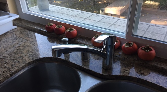 Our new kitchen faucet, with persimmons on the counter behind